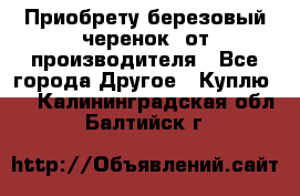 Приобрету березовый черенок  от производителя - Все города Другое » Куплю   . Калининградская обл.,Балтийск г.